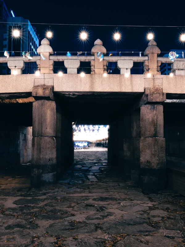 Cheonggyecheon3