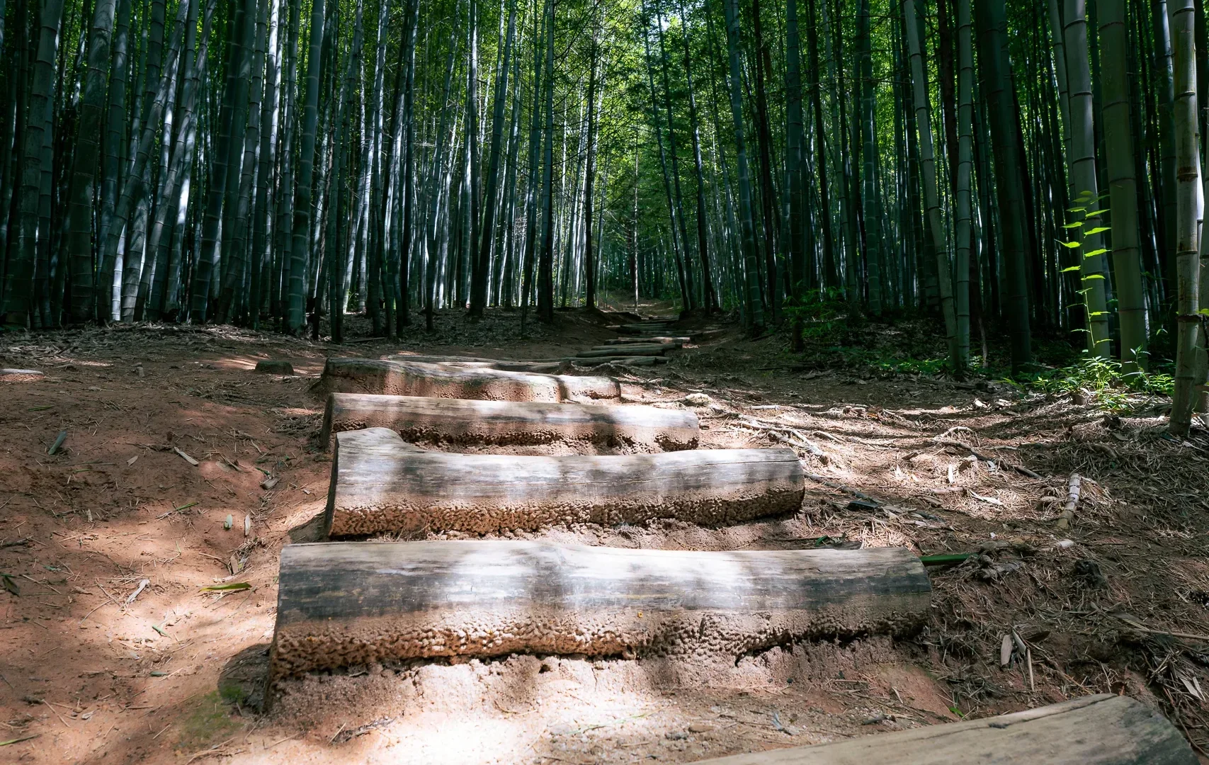 Damyang Bamboo Forest1