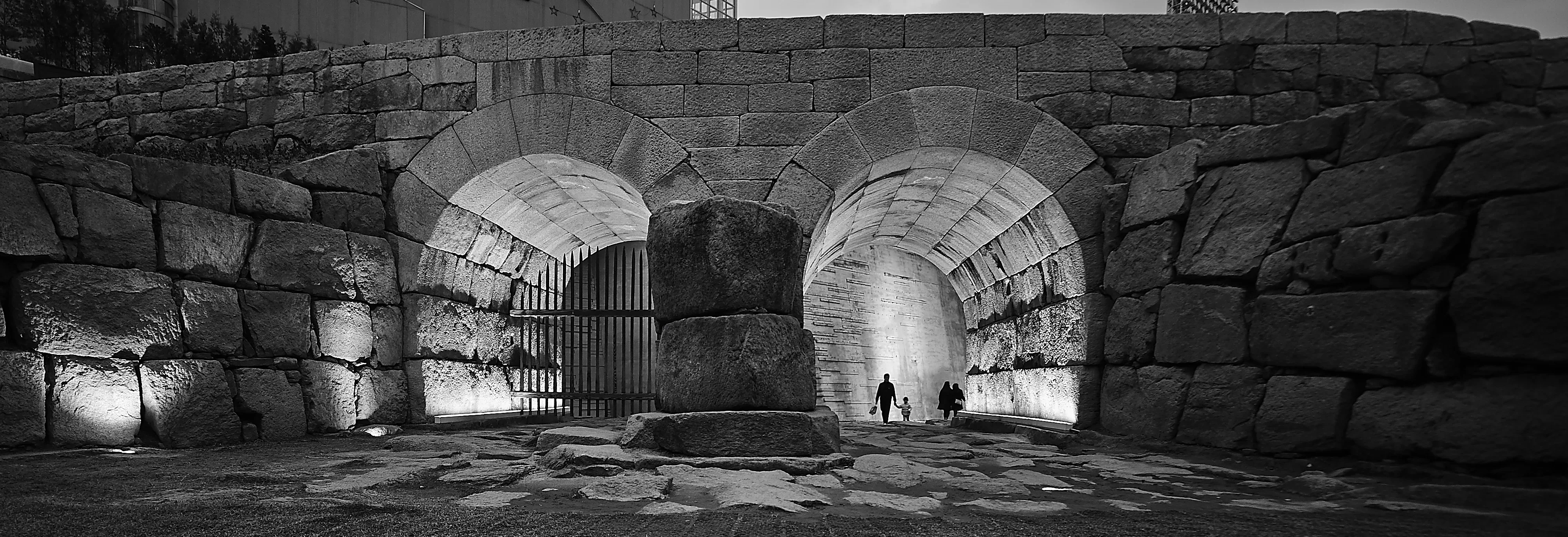 Seoul City Loop: Heritage & Horizons