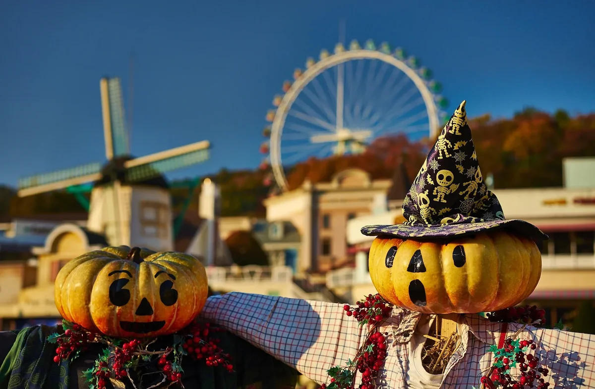 Everland Autumn182014