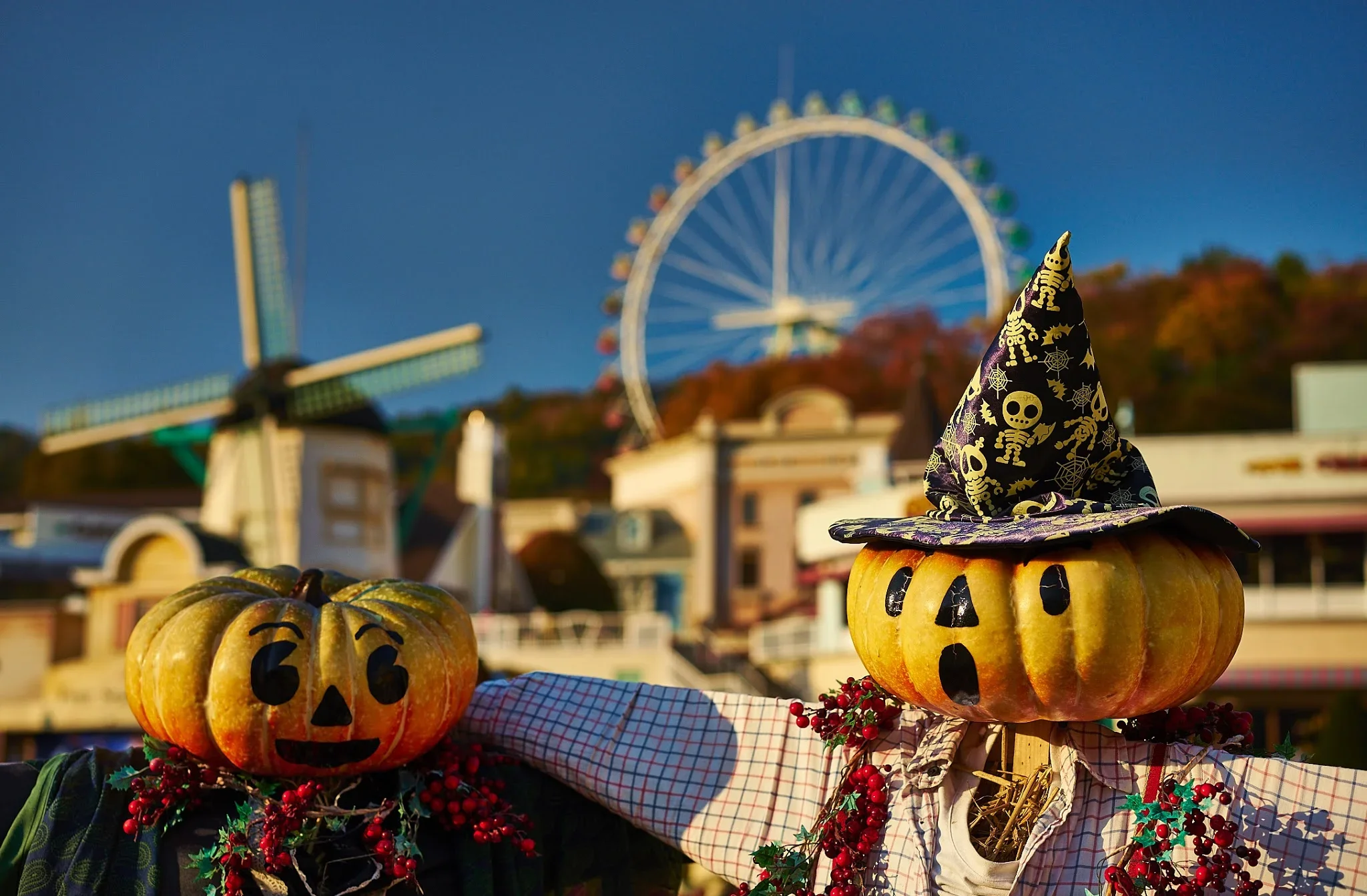 Everland Theme Park