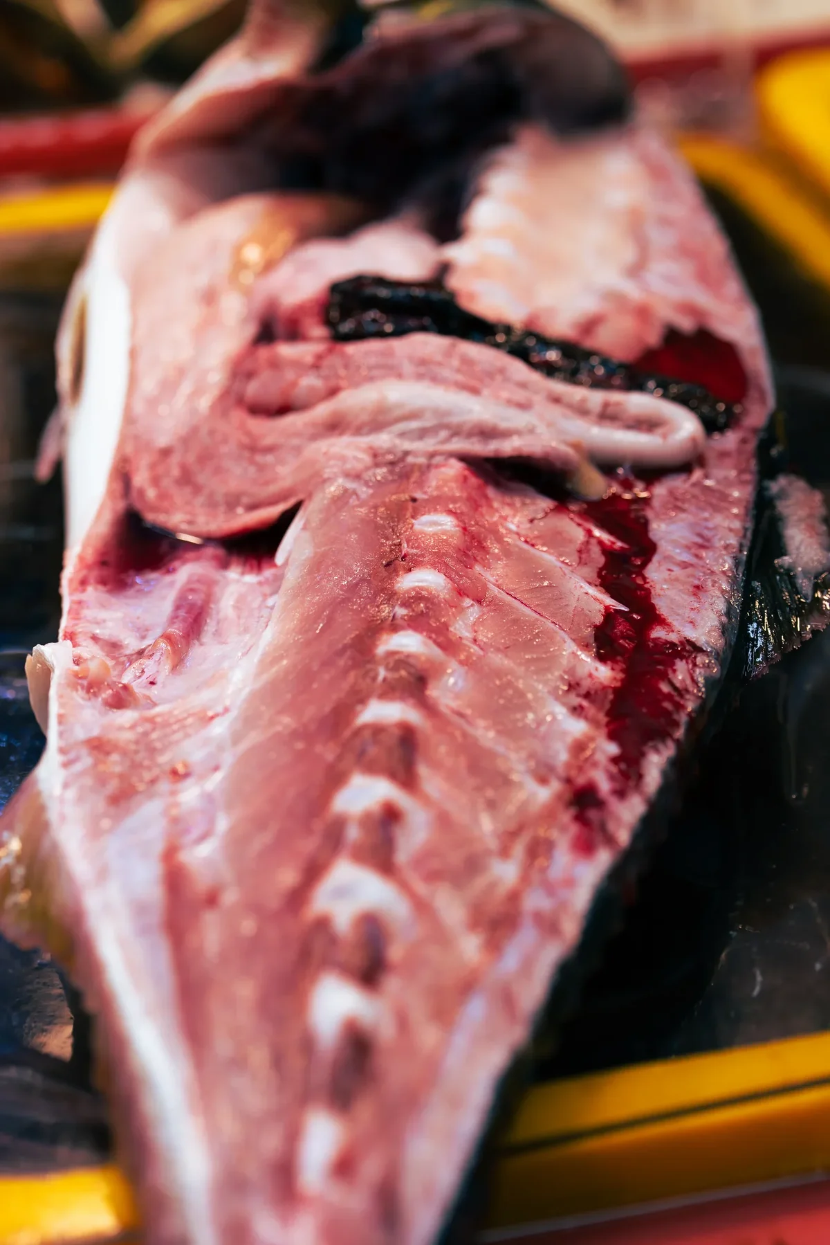 Jagalji Fish Market12