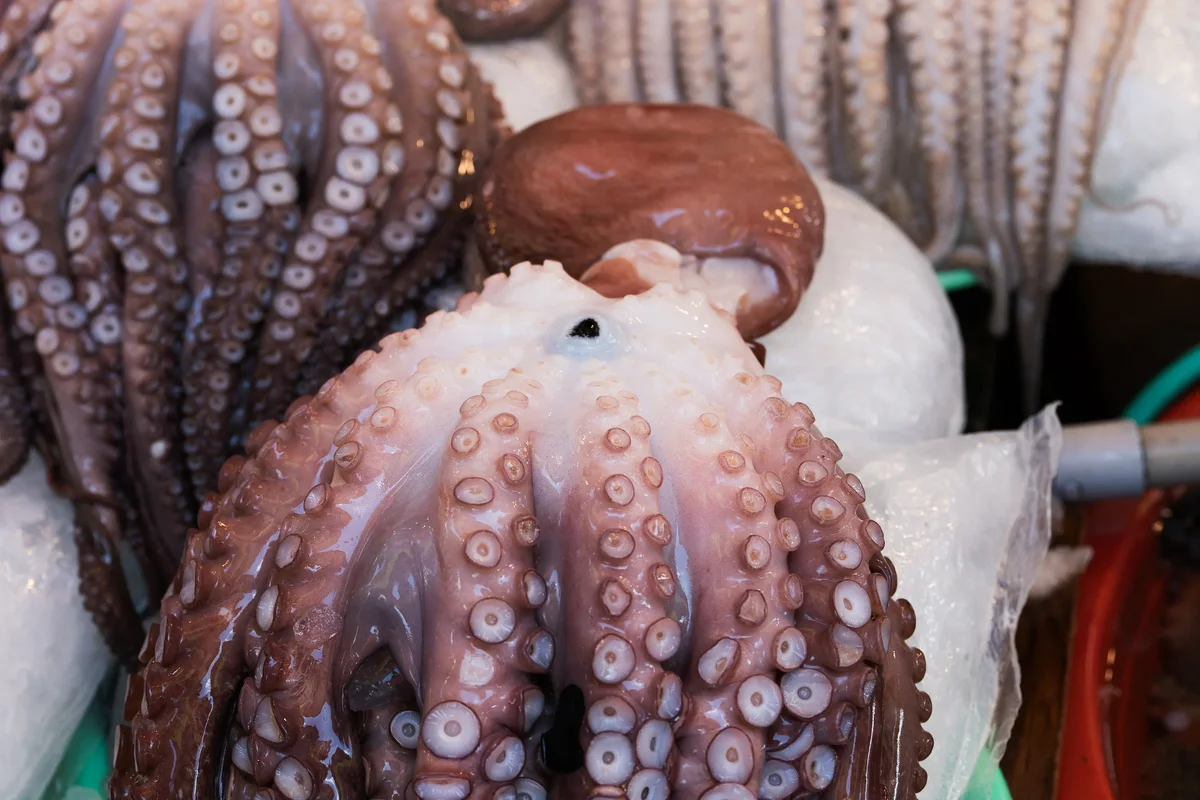 Jagalji Fish Market5