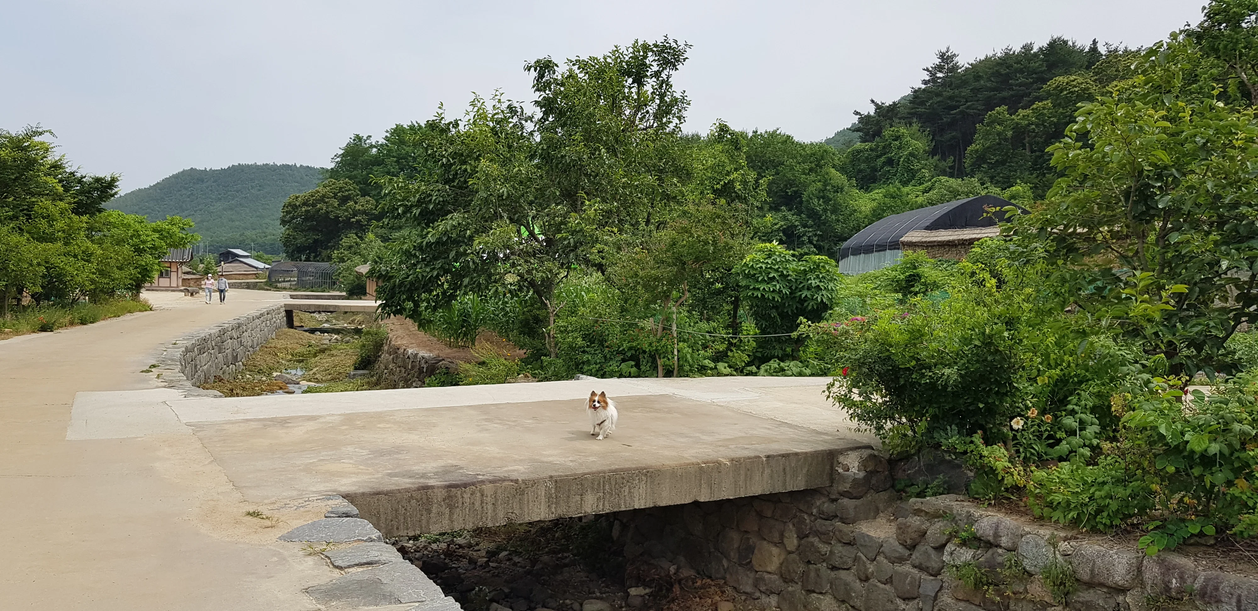 Goseong DMZ: Lake Hwajinpo, Historic Cottages & North Korea Views