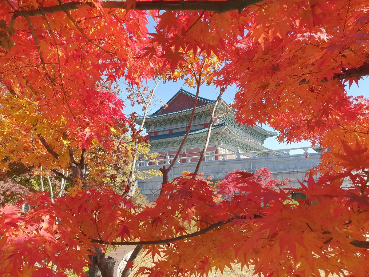 20201108112602