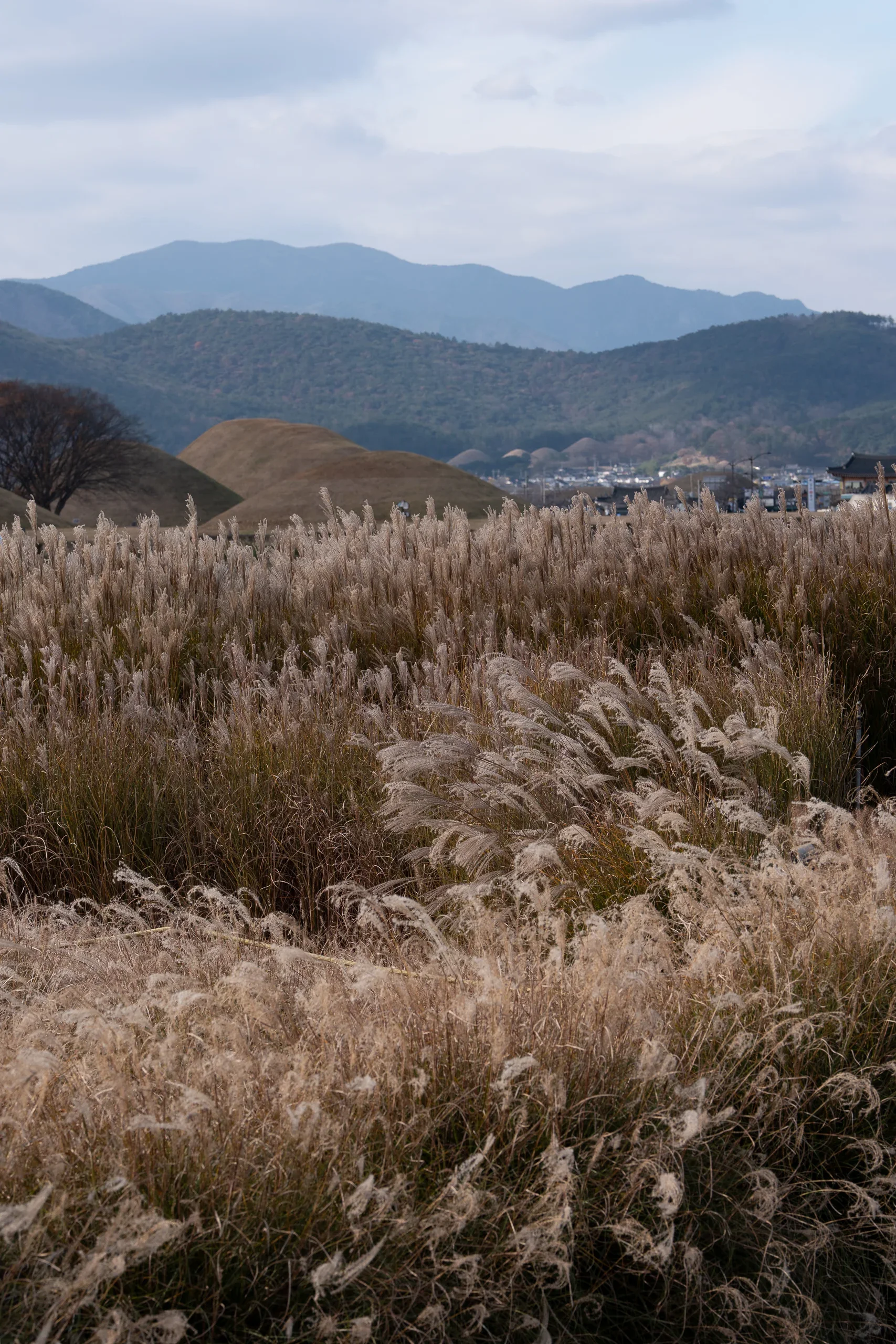 Ancient capital of Korea Gyeongju city tour