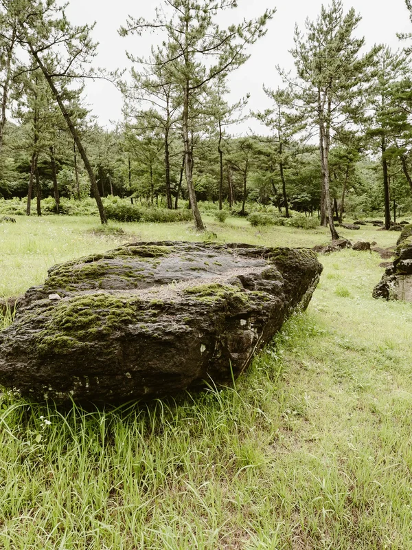 Hwasun Dolmen Site