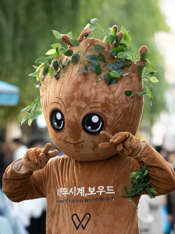 Insadong. Traditional teahouses, souvenirs, boutiques, galleries...