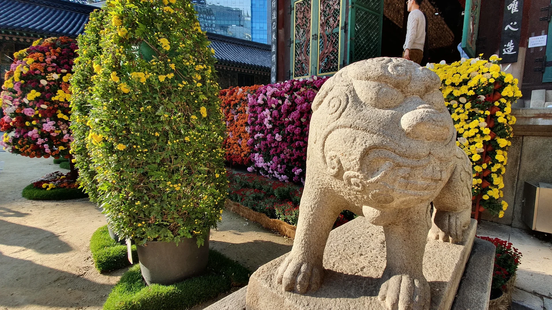 Jogyesa