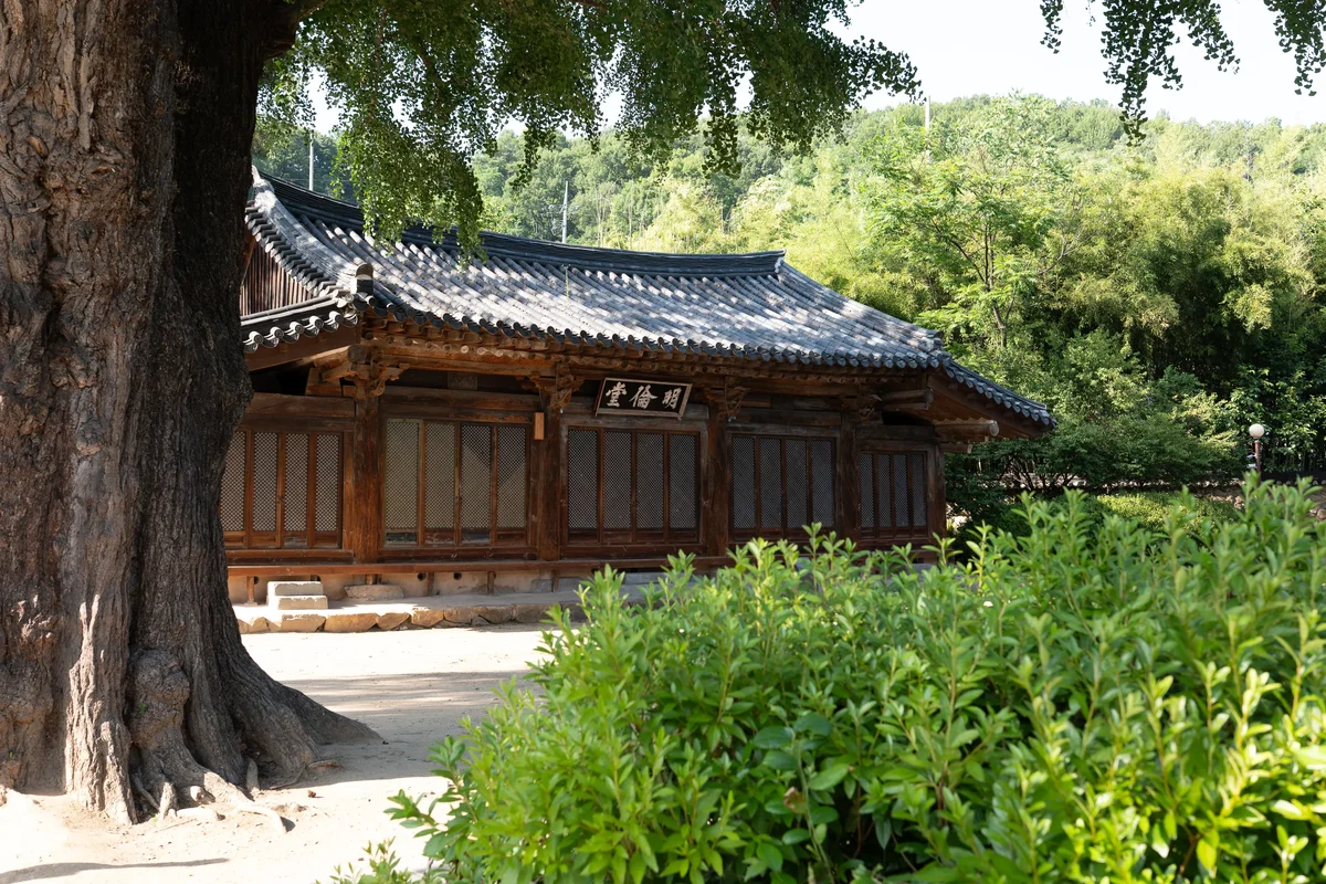 Jeonju Confusian Academy2