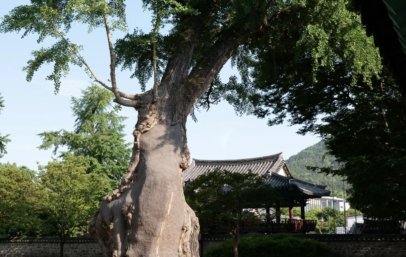 Jeonju Confusian Academy4
