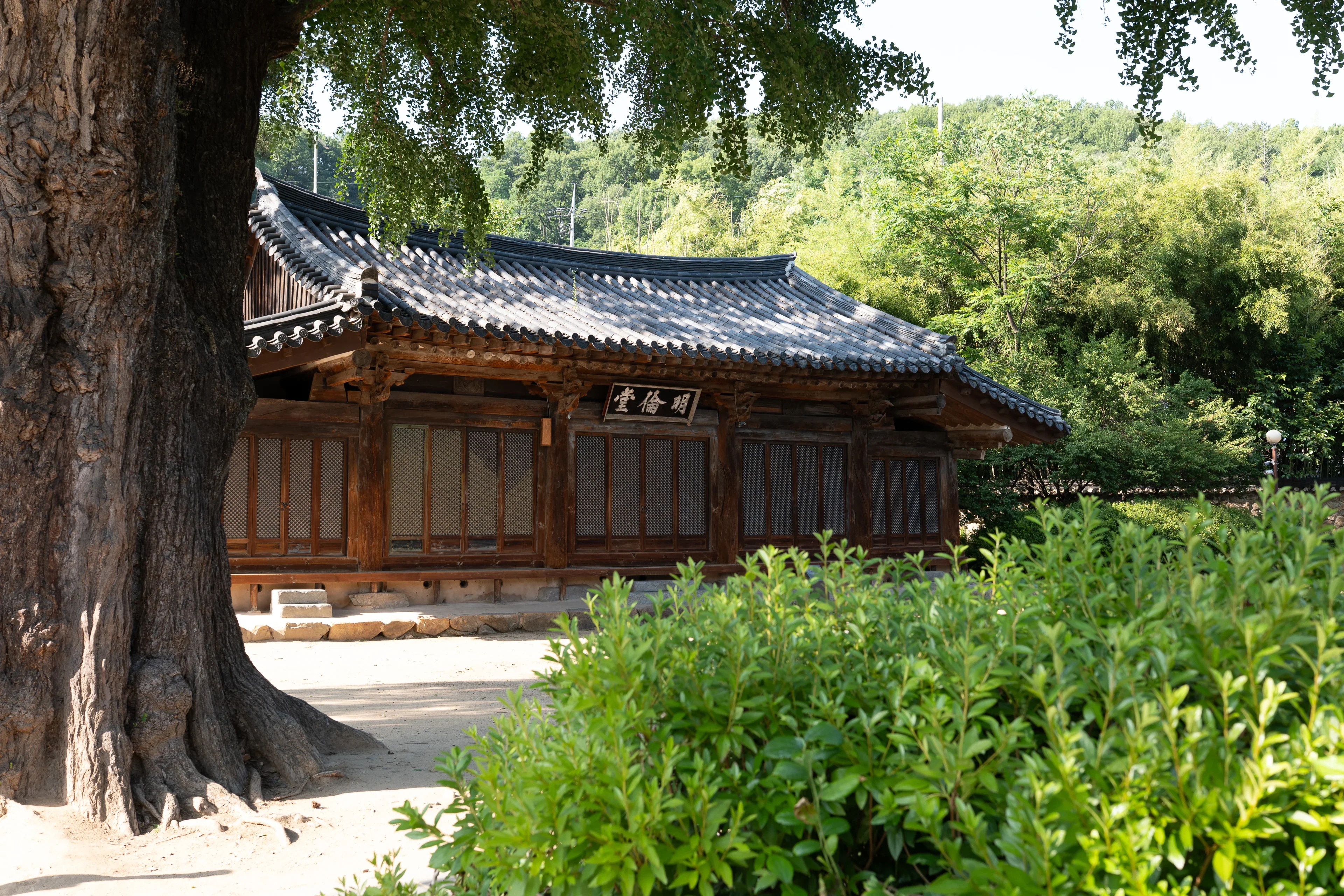 Cheonju