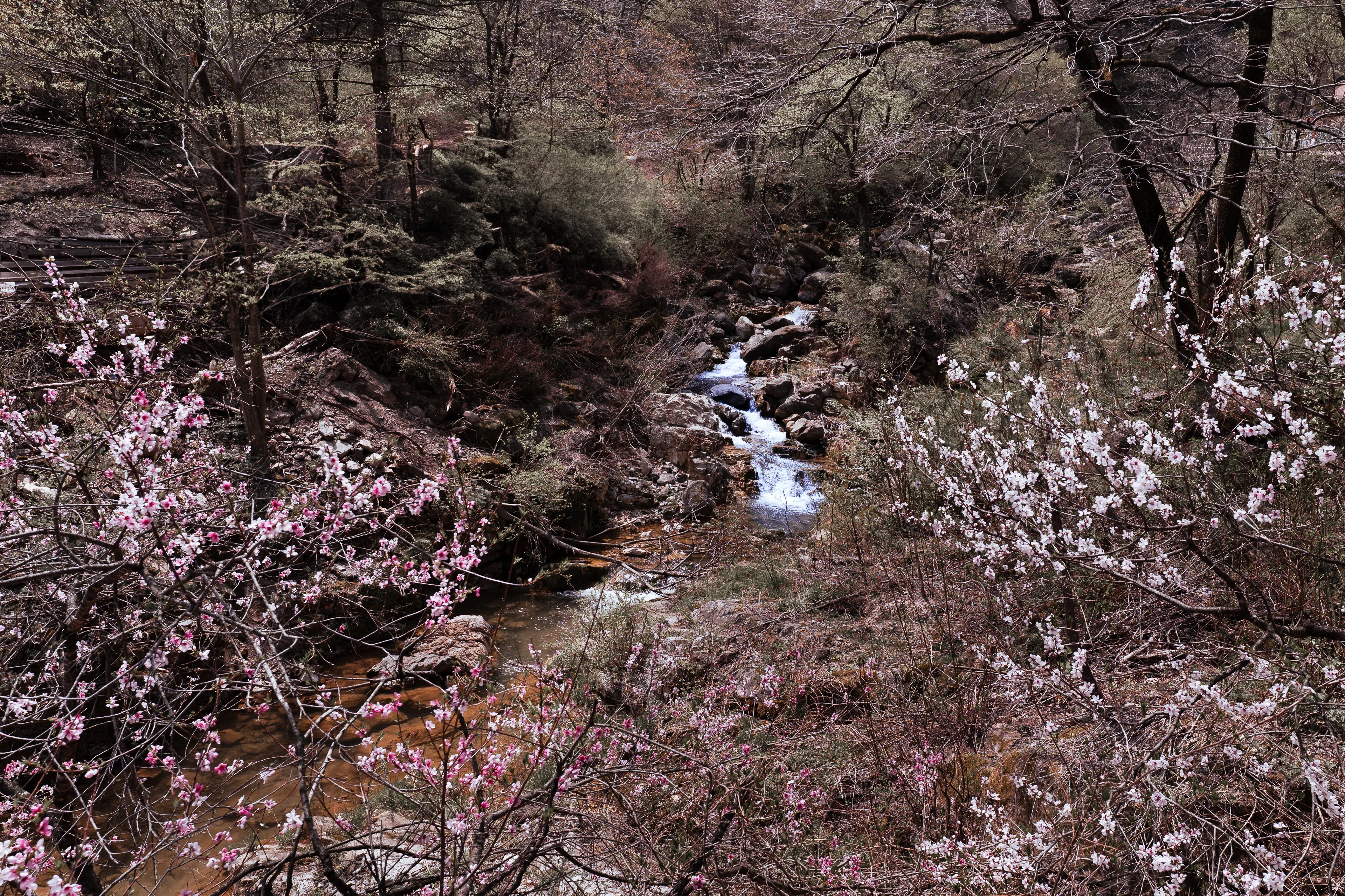 Hwanseon Cave & Haesindang Park: Samcheok's Two Wonders