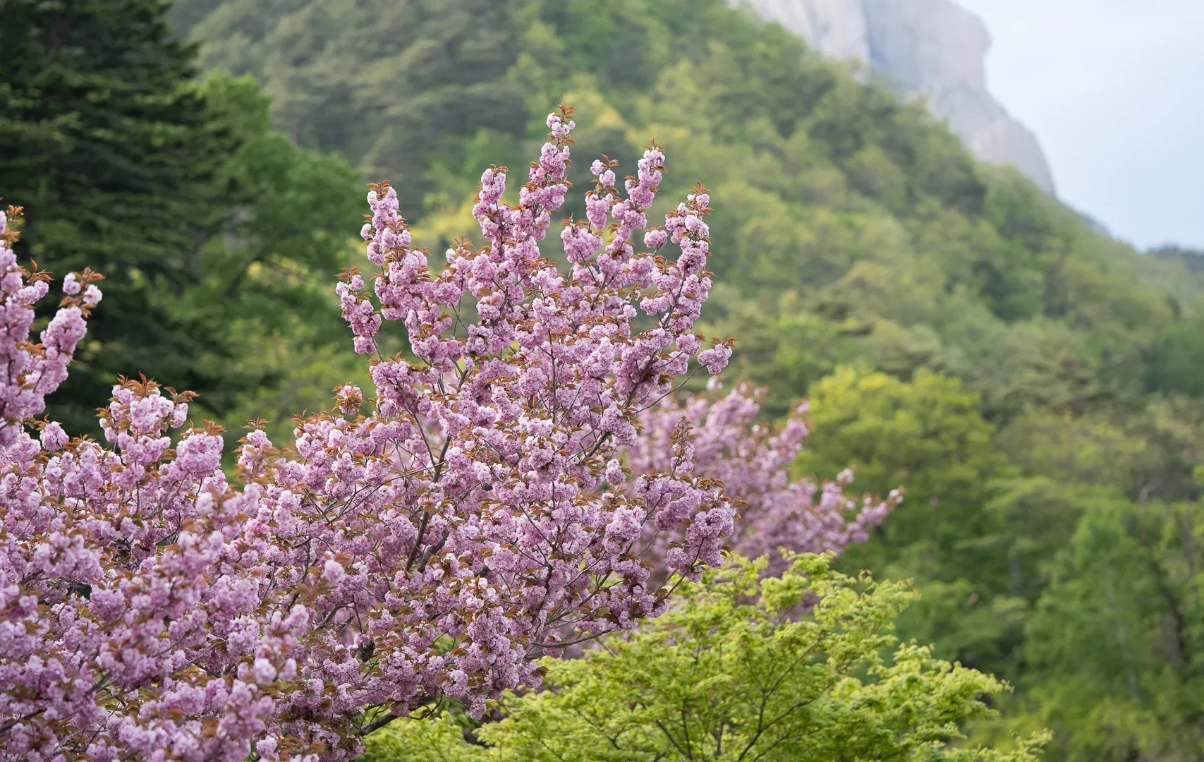 Seoraksan National Park5