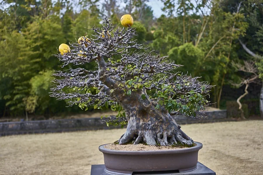 Love Land Jeju3