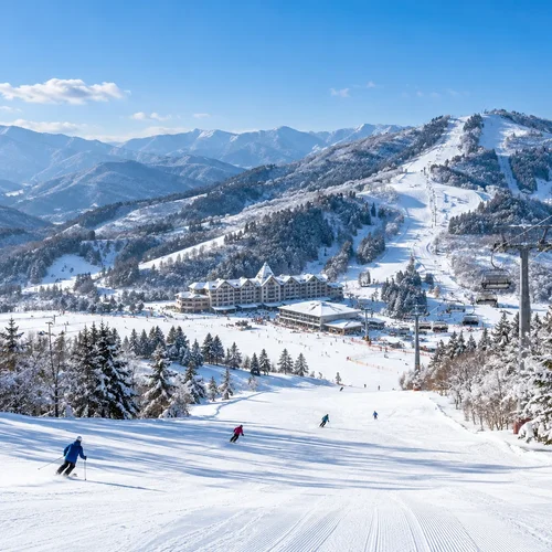 Ski Resort