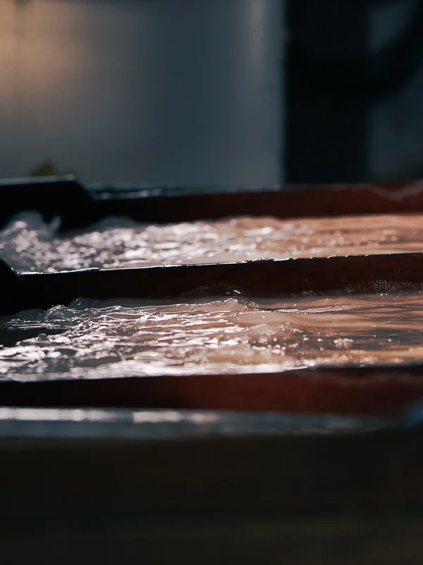 Paper Making2